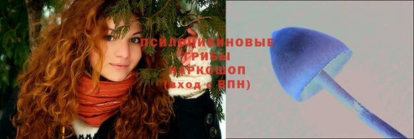 каннабис Аркадак